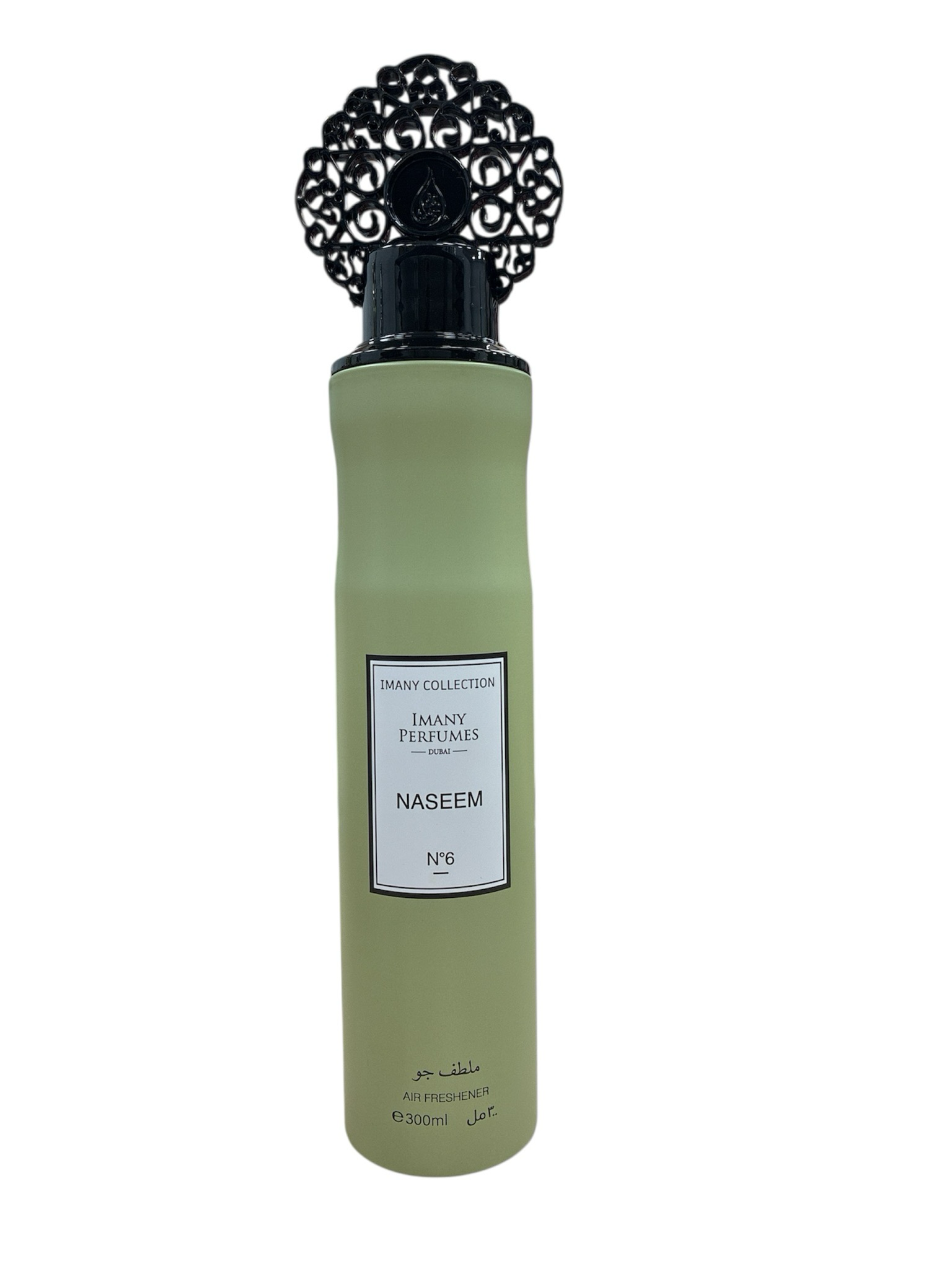 AMBIENTADOR NASEEM
